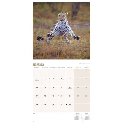 Comedy Wildlife Kalender Kopen Bestel Eenvoudig En Snel Online