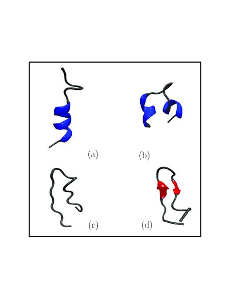 Different Conformations For The Dp Sequence Identified From The Md