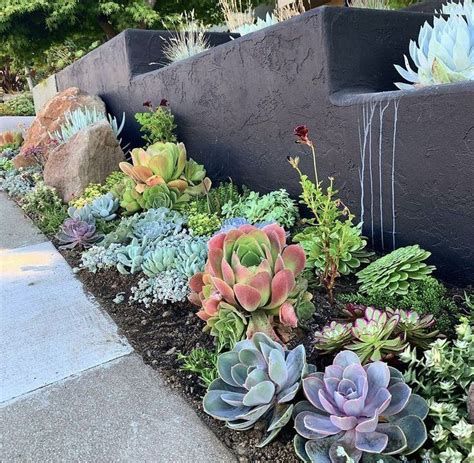 17 Must Have Succulent Rock Garden Landscaping Hacks To Save In No Time