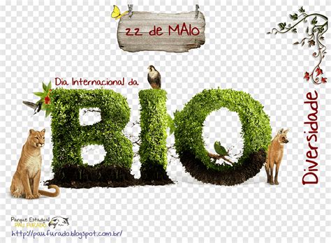 Día internacional de la biodiversidad para la diversidad biológica