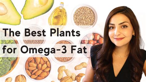 Foods Highest In Omega 3 Fatty Acids On Sale Welcome