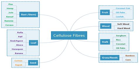 Cellulose Fiber Encyclopedia Mdpi