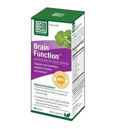 Brain Function Review – 7 Things You Need to Know