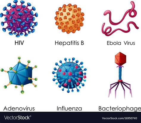 Virus Structure And Types