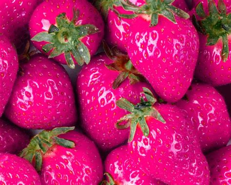 Passionately Pink Strawberries Pretty In Pink Hot Pink Pink