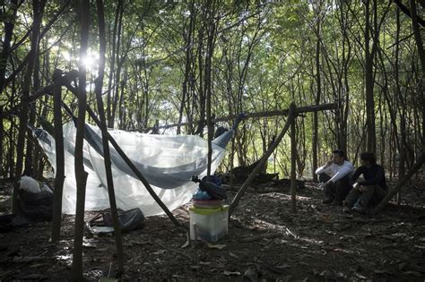 Pacote De Sobreviv Ncia Na Floresta Amaz Nica Dias Desviantes