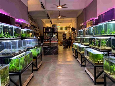 TOP 9 Kedai Aquarium Kuantan Terbaik