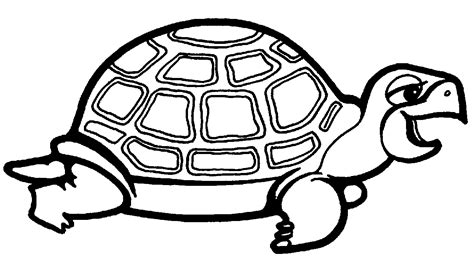 Dibujos De Tortugas Para Colorear E Imprimir