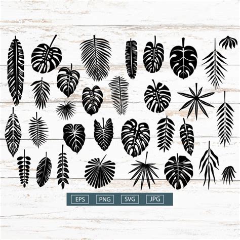 Tropical Leaf Silhouette Stencil Tropical Leaf SVG PNG Etsy