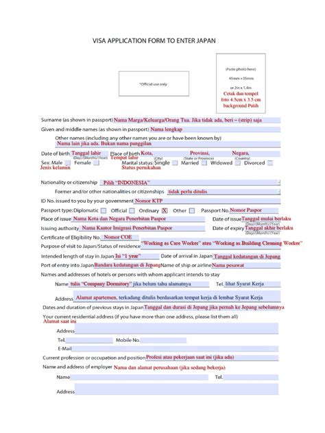 Panduan Pengisian Formulir Visa Jepang | PDF