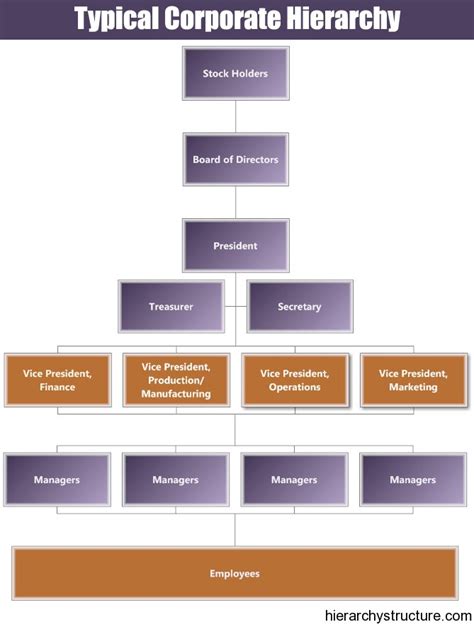 Typical Corporate Hierarchy | Corporate Hierarchy