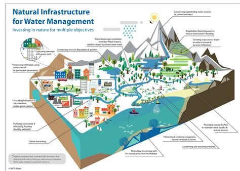 Natural Infrastructure For Water Management Source Iucn As Part Of