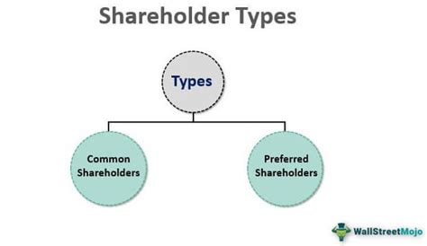 Shareholder Types Overview Of Top 2 Types With Examples