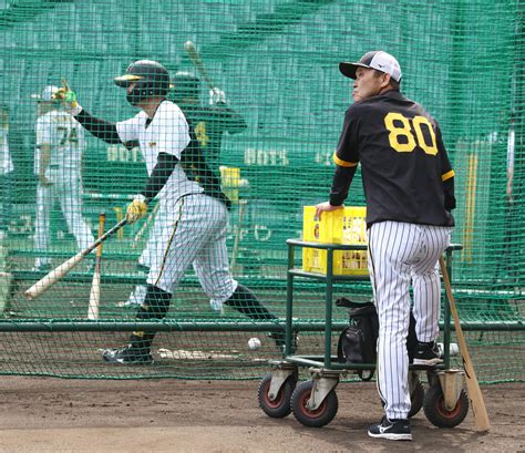 【阪神】中日涌井攻略へ主軸は3番森下翔太から大山悠輔、前川右京、佐藤輝明の並び／スタメン プロ野球写真ニュース 日刊スポーツ