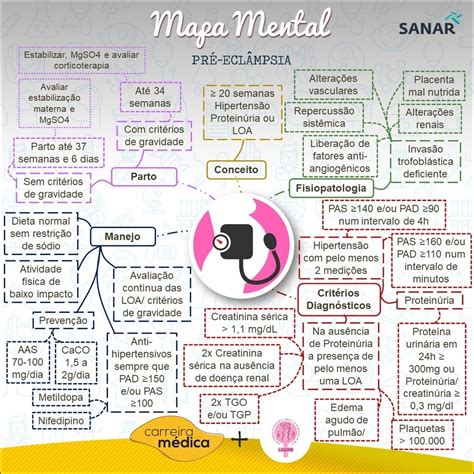 Mapas Mentais Sobre GRAVIDEZ Study Maps