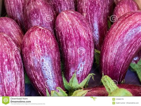 Edirne Purple Striped Eggplants For Sale At Local Street Market Stock