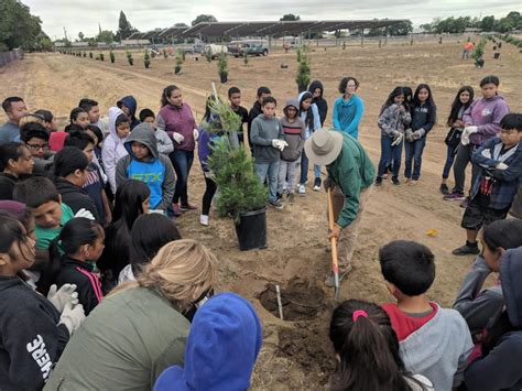 West Fresno Schools Partner with Tree Fresno to Add 600 Trees to Campus ...