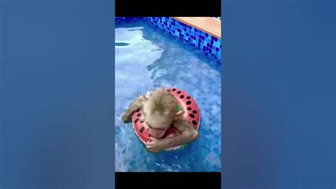 Monke Swim 2 Youtube