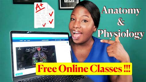 Take This Free Online Anatomy And Physiology Class To Master The Course