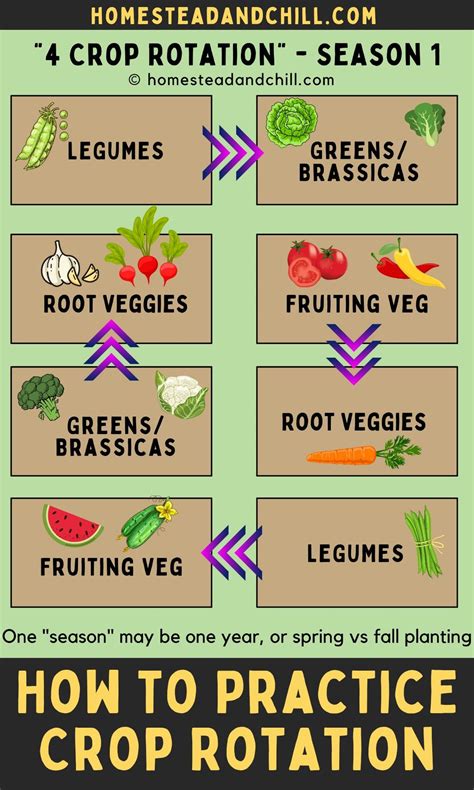 How To Practice Crop Rotation Benefits Explained Artofit