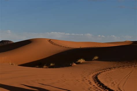 Deserto Sole Arancia Foto Gratis Su Pixabay Pixabay