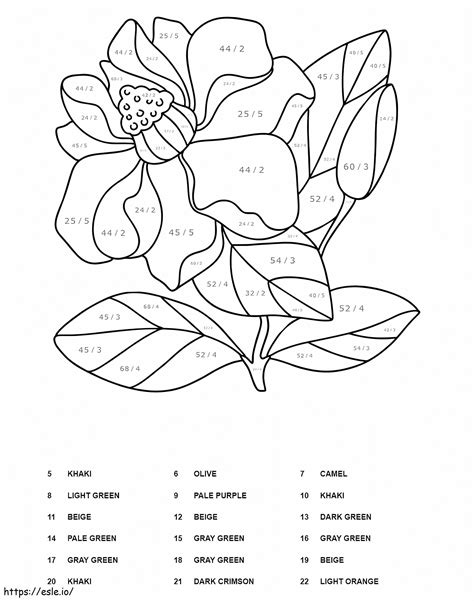 Pembagian Bunga Warna Dengan Angka Gambar Mewarnai
