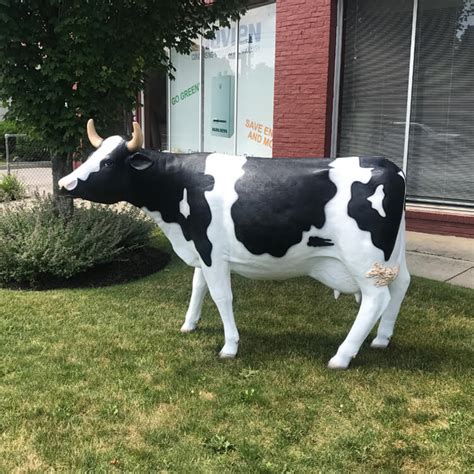 Wholesale Fiberglass Life Size Cow Statue For Sale Seventreesculpture