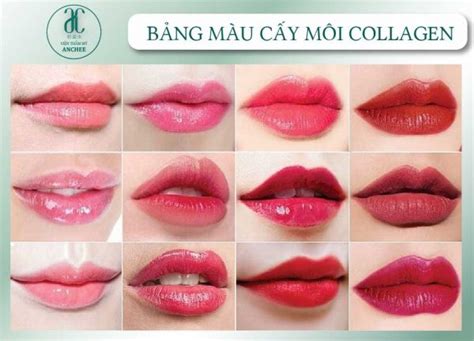 B Ng M U Phun M I P Hot Trend Nh T B Ng Gi