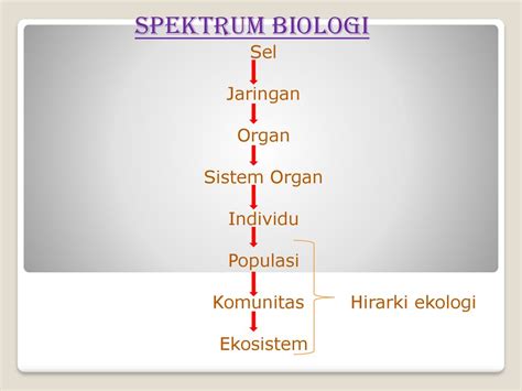 Ekosistem Oleh P Prastowo Ppt Download