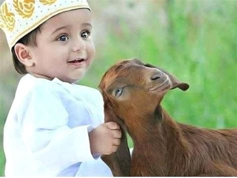 Bakrid Qurbani Ke Fazail Qurbani Ke Fazail Aur Masail Post No 02