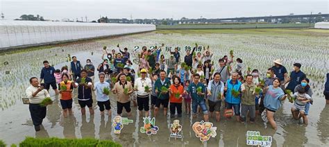 2024屏東熱博插秧喜迎經典泰迪熊登場 現場千碗免費美飯湯暖心又暖胃 Enn台灣電報