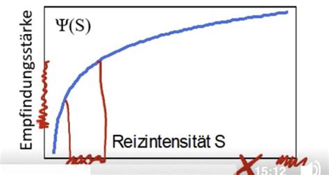 Psychophysikalische Methoden Weber Fechner Karteikarten Quizlet