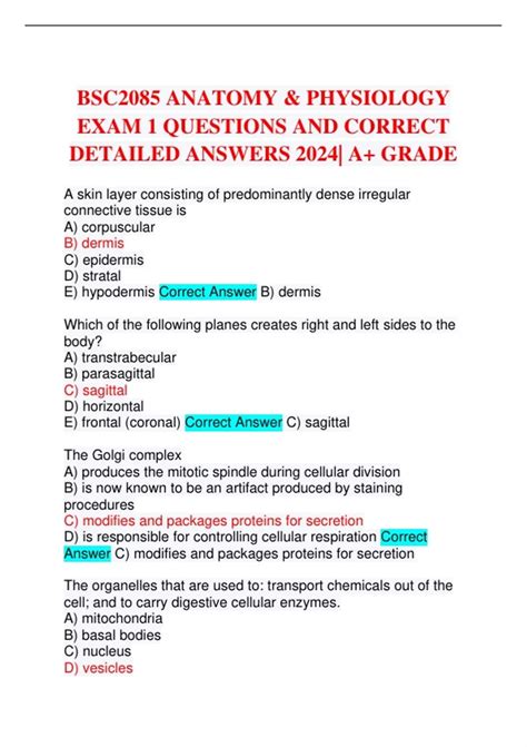 Bsc Anatomy And Physiology Exam Tests Stuvia Us