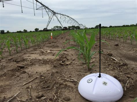 Sensors Insects Drones And Sustainable Nitrogen Define Innovation In