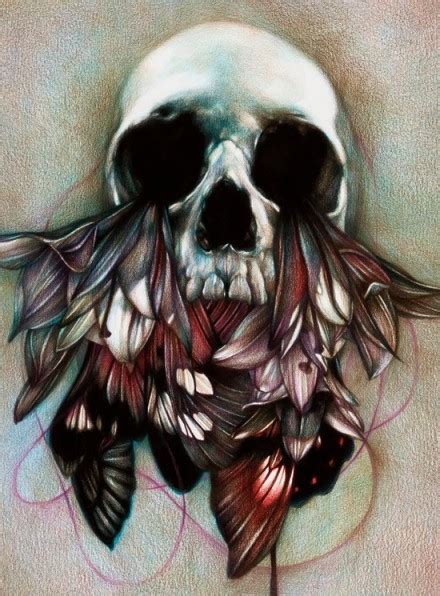 Skull pencil drawings