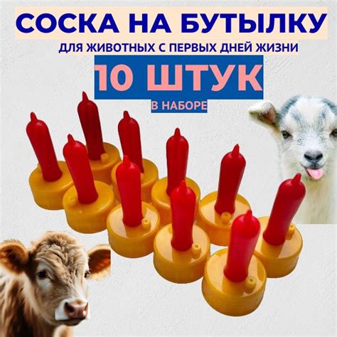 Соска-крышка для кормления котят, щенят, поросят, козлят, телят, ягнят ...
