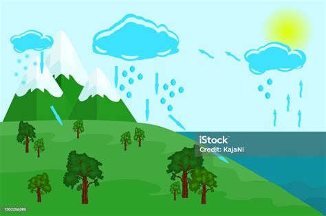 Siklus Air Di Alam Siklus Sirkulasi Dan Kondensasi Air Diagram Proses Hidrologi Bumi Ilustrasi ...