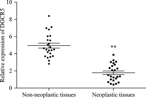 The Effects Of Aberrant Expression Of Lncrna Dgcr Mir P Tusc In