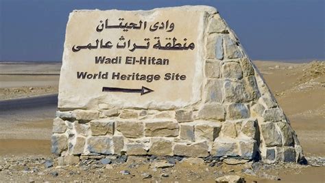 Discovering the Whale Valley — Wadi Al Hitan — CSA Reviving Community