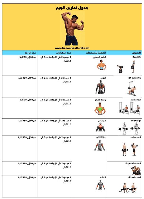 جدول تمارين كمال الاجسام للمبتدئين بالصور كامل Gym Workouts For Men