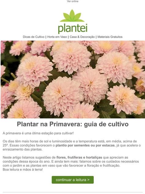 Plantei Plantar Na Primavera Guia De Cultivo 🌱🪴🌻🌺 Milled