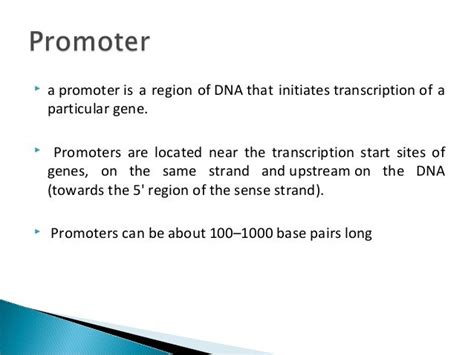 Promoter and its types