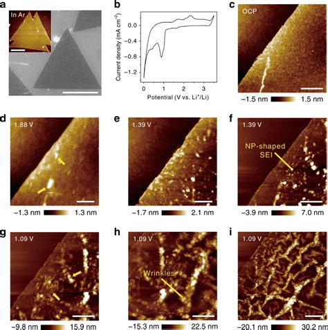 Structural Evolution At The Ultra Flat Monolayer Mos Electrolyte