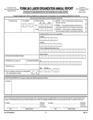 2004 Form DoL LM 3 Fill Online Printable Fillable Blank PdfFiller