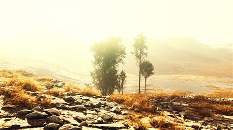 Pine trees and Huangshan mountains in China 5645119 Stock Video at Vecteezy