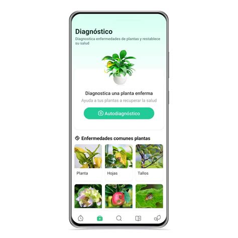 La App Para Cuidar De Tus Plantas Con Consejos Personalizados Y Guías