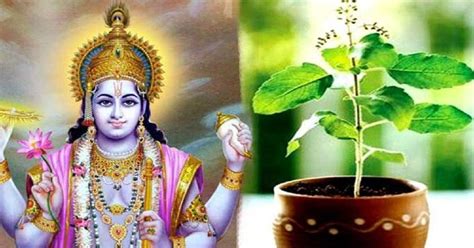 Why Are Tulsi Leaves Offered To Shri Vishnu Sanatan Sanstha