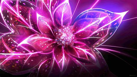 Cool Flower Backgrounds