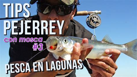 Lo Que Necesitas Saber Para Pesca Pejerrey Con Mosca En Lagunas Cursos