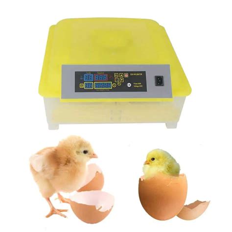 Las Mejores Incubadoras De Huevos De Gallinas Patos Hot Sex Picture